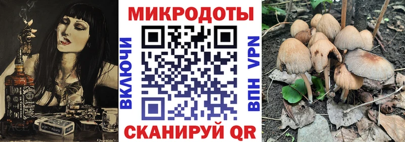 сколько стоит  Оса  кракен ТОР  Псилоцибиновые грибы GOLDEN TEACHER 