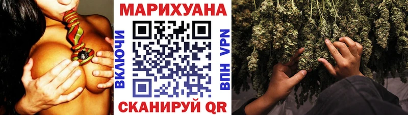 Бошки Шишки план  Оса 